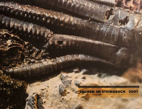 Spuren im Steinbruch